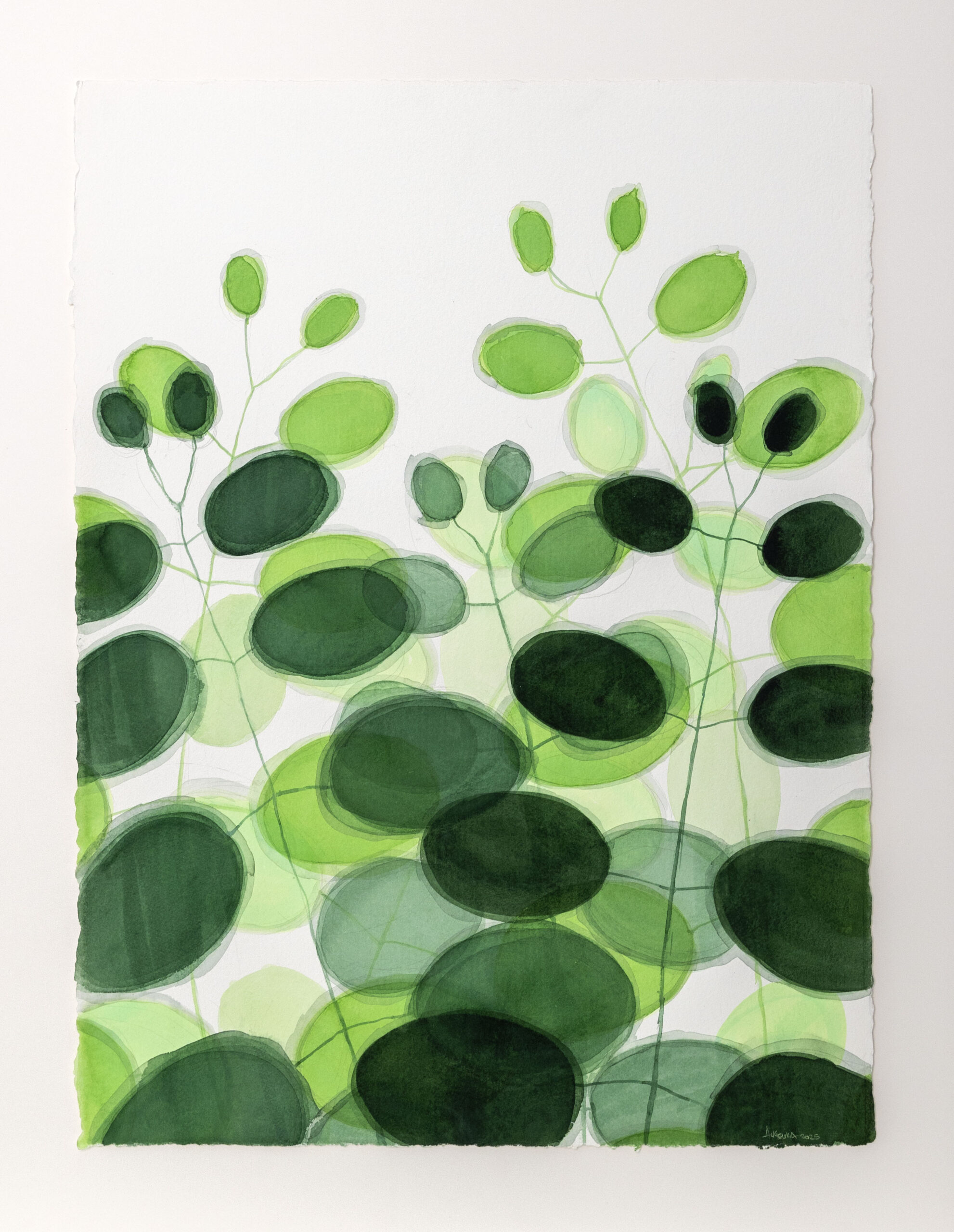 2 – Capers with Sap Green – Watercolour on paper – Angelika Vaxevanidou – 2026